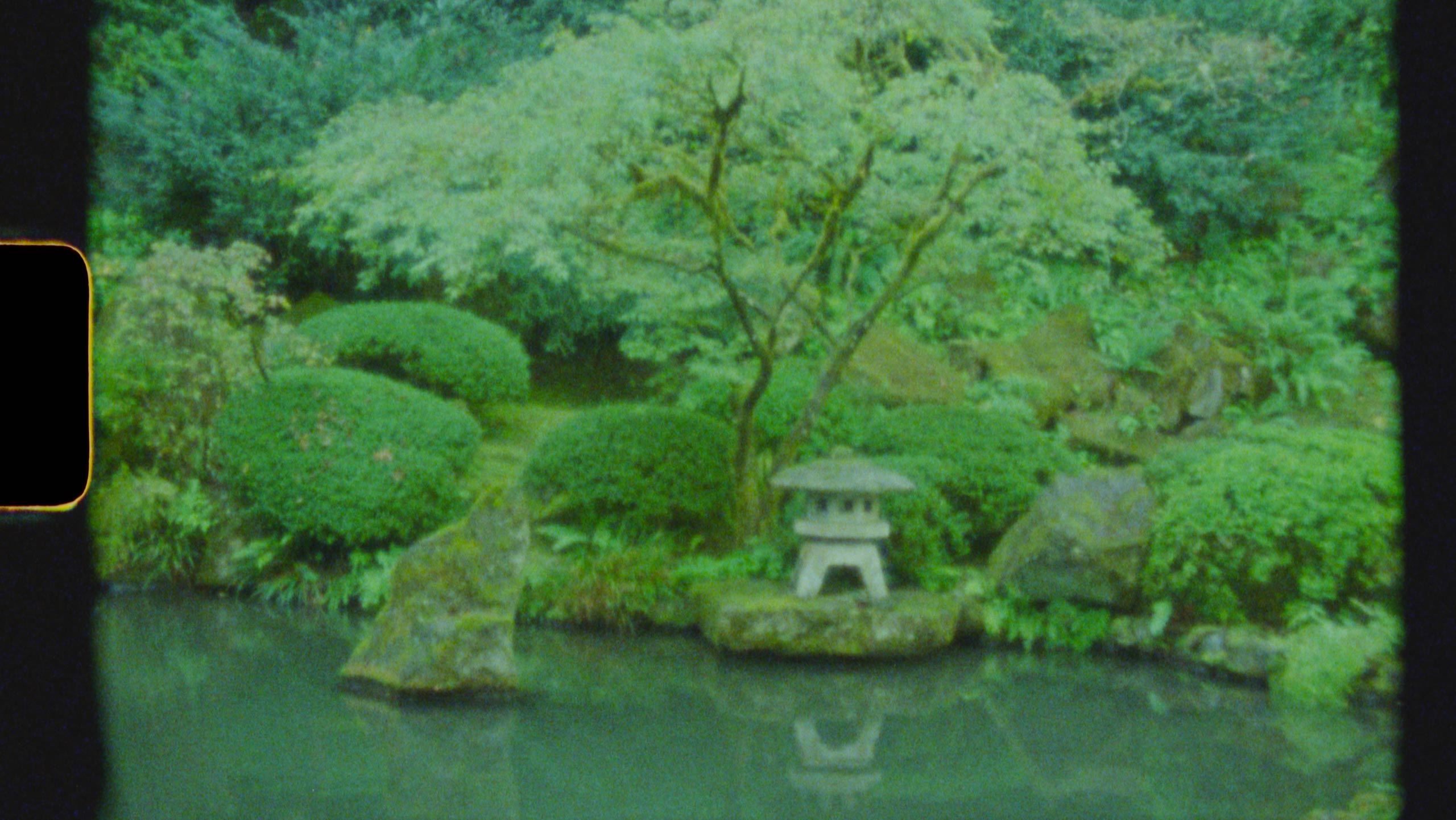 Portland Japanese Garden - A Super 8 Film